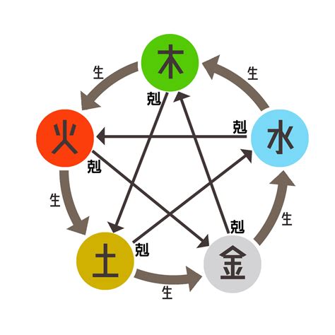 卯屬性|八字基礎教學,陰陽,五行,干支,廿四節氣（20分鐘了解）